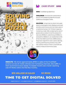 Digital Marketing Case Study - PureWash